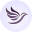 Ascendara Logo